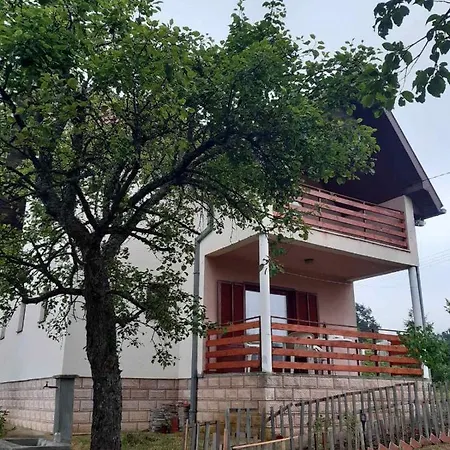 Jankovici Ravni Zlatibor