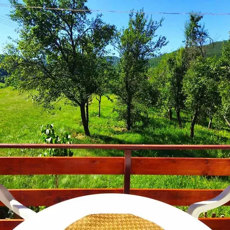 Jankovici Ravni * Zlatibor