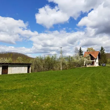 Apartman Jankovici Ravni Zlatibor