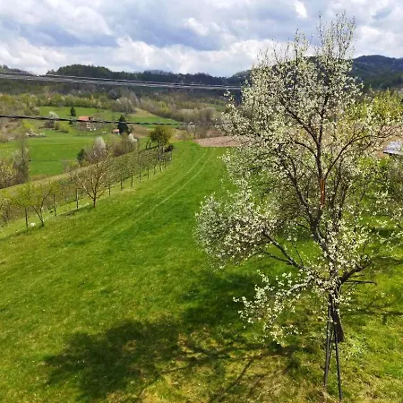 Jankovici Ravni Zlatibor