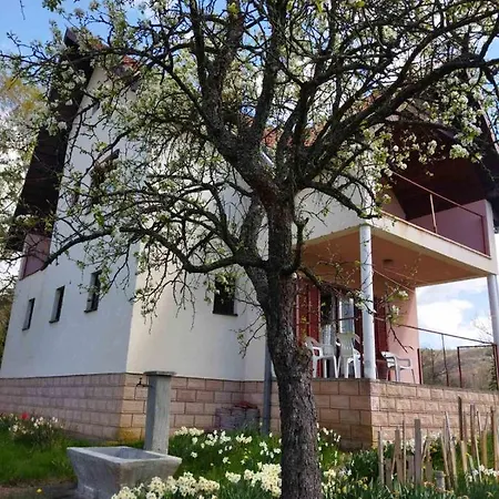 Apartman Jankovici Ravni Zlatibor