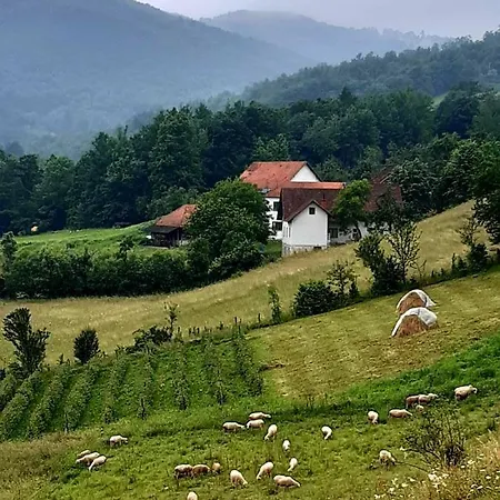 Jankovici Ravni Apartament *