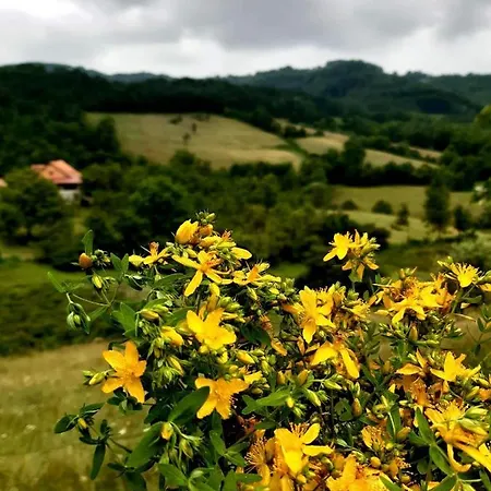 Jankovici Ravni * Zlatibor