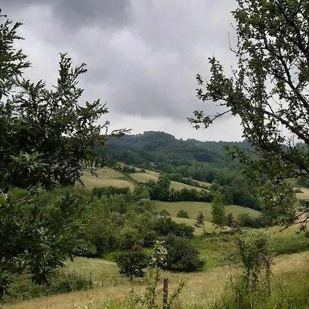 Jankovici Ravni Zlatibor