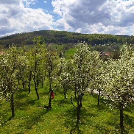 Apartman Jankovici Ravni *