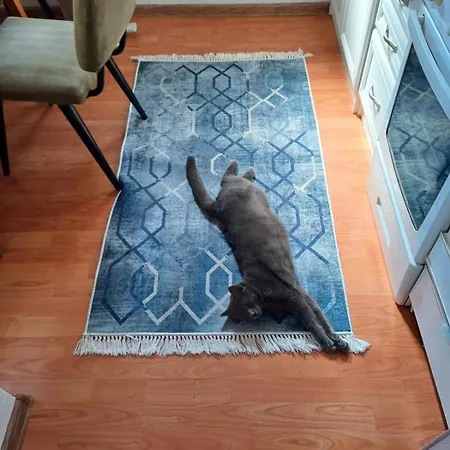 Jankovici Ravni Apartman *