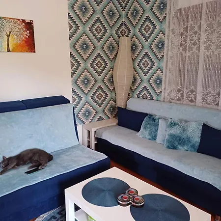 Apartament Jankovici Ravni *